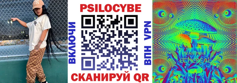 KRAKEN как зайти Приволжск Галлюциногенные грибы Cubensis хочу